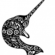 logo_narval_page-0001-removebg-preview