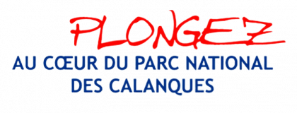 Plongez au cœur des calanques